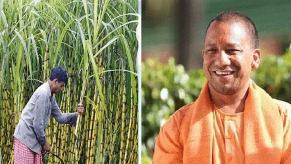UP के सभी 75 जिलों के 25 लाख किसानों की बदलेगी किस्मत, लाखों किसानों को होगा फायदा UP के सभी 75 जिलों के 25 लाख किसानों की बदलेगी किस्मत, लाखों किसानों को होगा फायदा - Samachar Mirchi