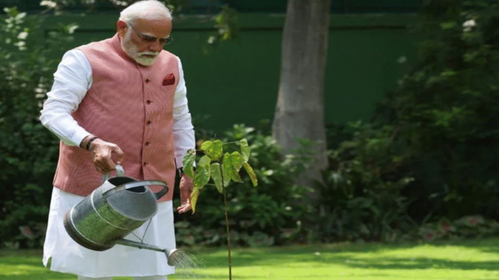 मोदीजी ने लगाया ‘सिंदूर का पौधा’ पर्यावरण दिवस की बढ़ी खूबसूरती मोदीजी ने लगाया ‘सिंदूर का पौधा’ पर्यावरण दिवस की बढ़ी खूबसूरती - Samachar Mirchi
