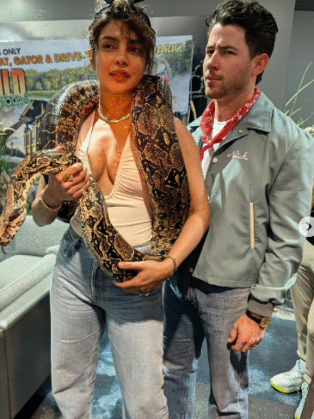 जब सबके सामने पति निक संग रोमांटिक हुईं प्रियंका चोपड़ा, देखें …