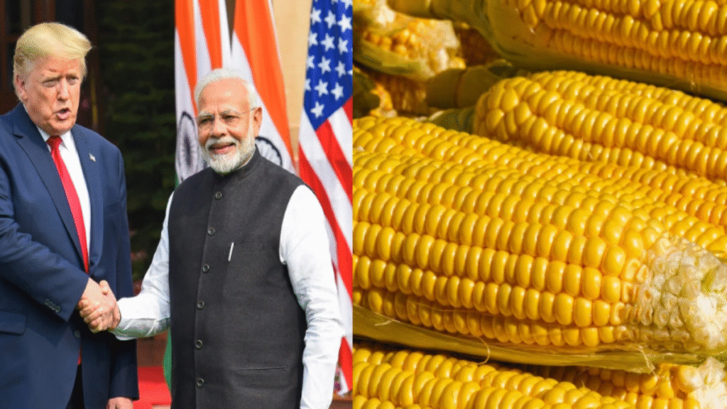 भारत-अमेरिका व्यापार डील: टैरिफ घटकर 15%, ट्रंप देंगे बड़ा तोहफा भारत-अमेरिका व्यापार डील: टैरिफ घटकर 15%, ट्रंप देंगे बड़ा तोहफा - Samachar Mirchi