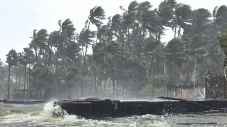 तूफान ‘दितवाह’ से तीन राज्यों में हाई अलर्ट: 100 किमी की रफ्तार से हवाएं, भारी से अति भारी बारिश का IMD का पूर्वानुमान