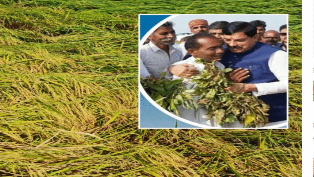 मध्य प्रदेश के 3 लाख किसानों को आज मिलेगा 238 करोड़ का मुआवज़ा मध्य प्रदेश के 3 लाख किसानों को आज मिलेगा 238 करोड़ का मुआवज़ा - Samachar Mirchi