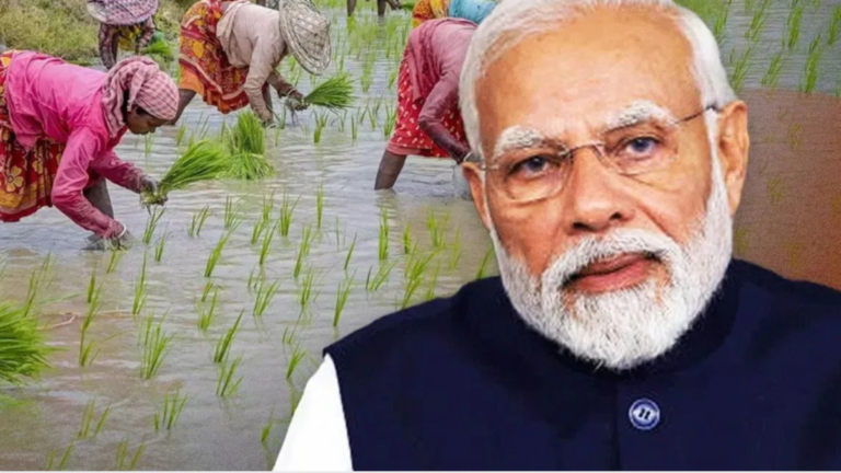 पीएम किसान सम्मान निधि: 1 फरवरी 2026 को खुलेगा किसानों के लिए खुशियों का पिटारा ?