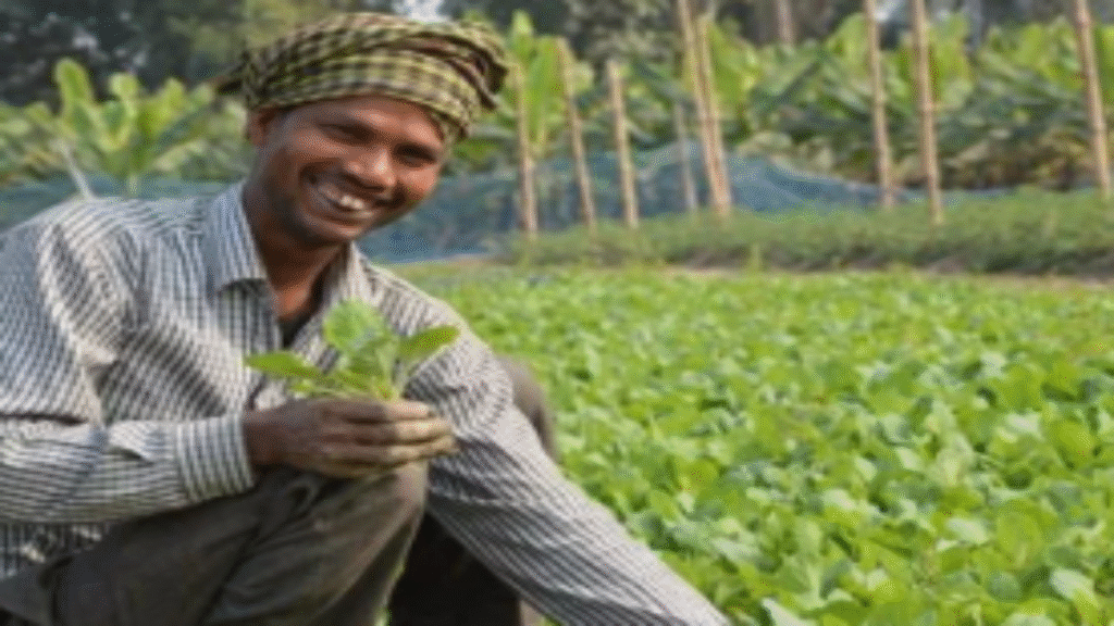 किसानों को 80% तक सब्सिडी! लेकिन किसे और कैसे मिलेगा फायदा? जानें पूरी योजना