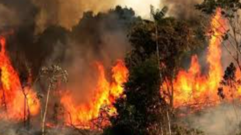 ईरान जंग का 10वां दिन: तेहरान में काली बारिश, लेबनान में सड़कों पर लोग; तस्वीरों में तबाही