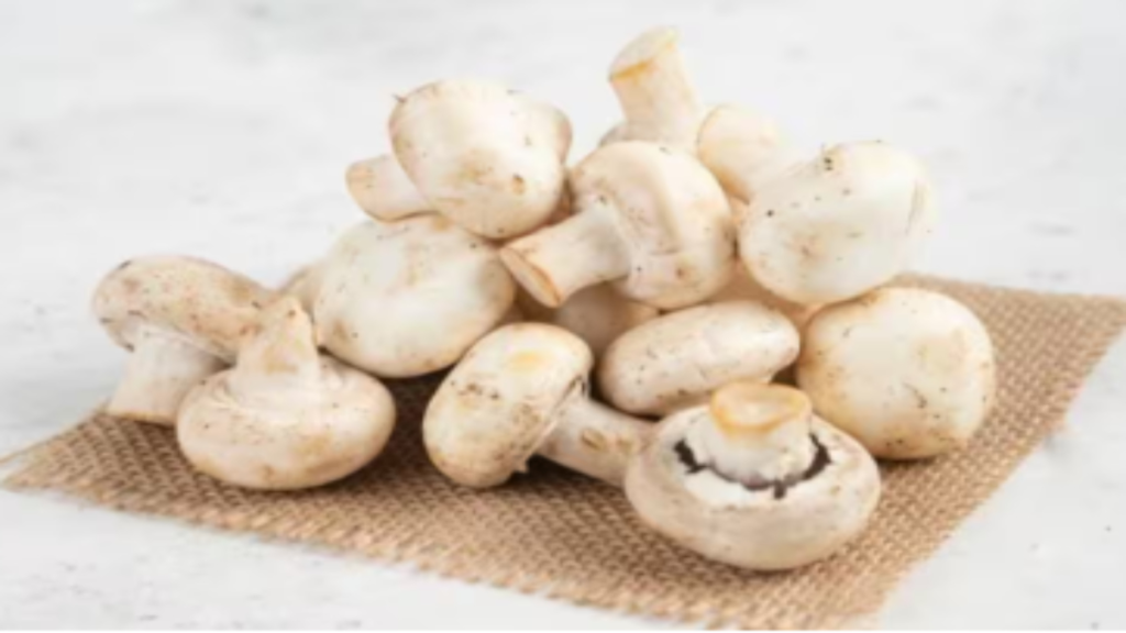 घर बैठे ऑर्गेनिक मशरूम की खेती से कम लागत में अच्छी कमाई का मौका