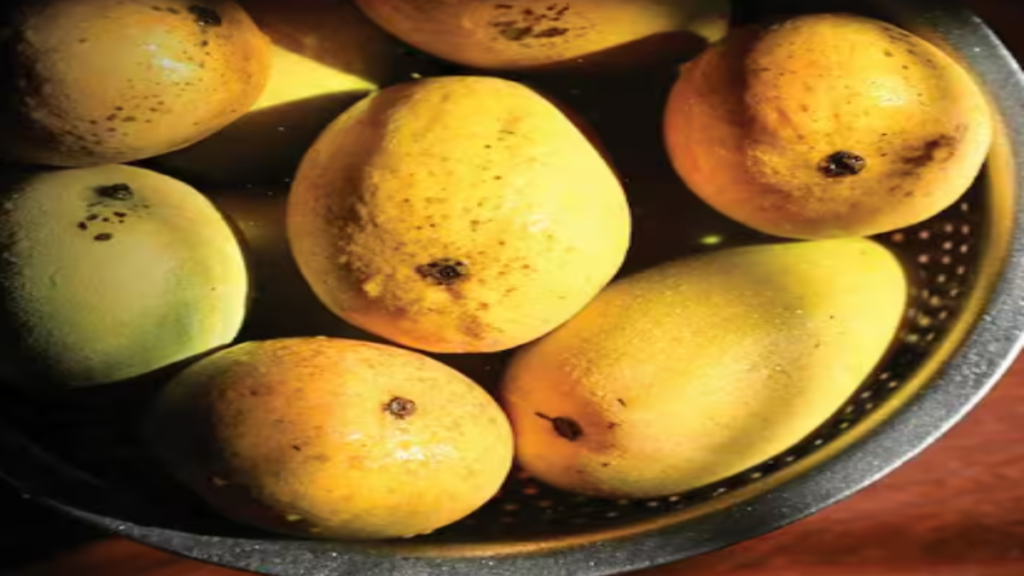 आम को खराब होने से बचाने का देसी जुगाड़, पेपर बैग की जरूरत