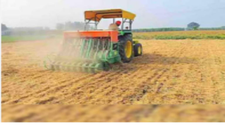 गेहूं की कटाई, स्टोरेज और बिक्री: एक्सपर्ट ने बताए ज्यादा मुनाफा कमाने के तरीके