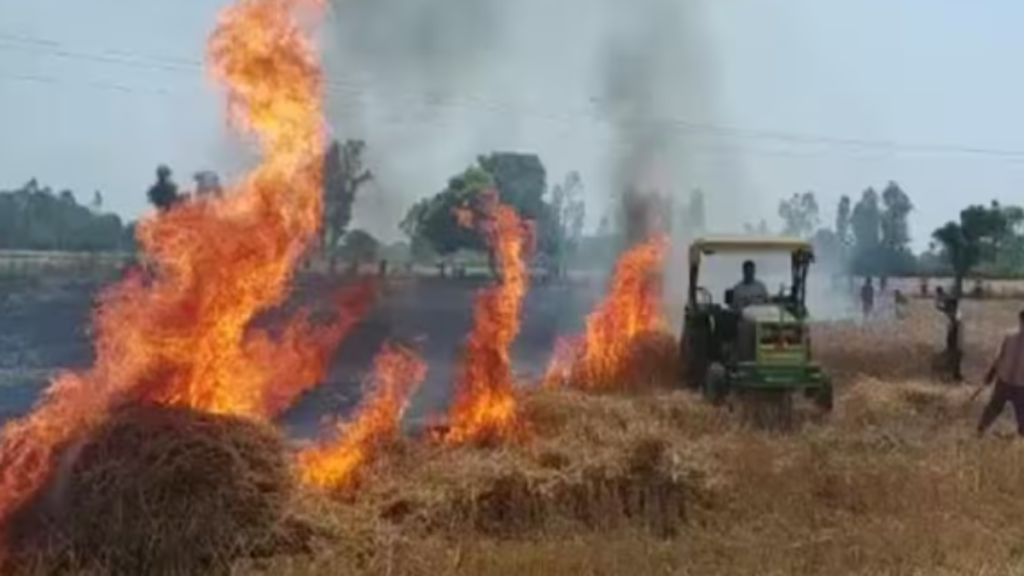 गर्मी में खेतों में आग की बढ़ती घटनाएं: किसानों की छोटी लापरवाही बन रही बड़े नुकसान की वजह - Samachar Mirchi