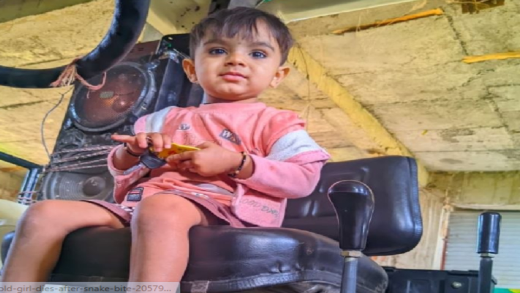 राजगढ़ में 3 वर्षीय बच्चे की मौत पर हंगामा, परिजनों ने अस्पताल पर लगाया लापरवाही का आरोप राजगढ़ में 3 वर्षीय बच्चे की मौत पर हंगामा, परिजनों ने अस्पताल पर लगाया लापरवाही का आरोप - Samachar Mirchi