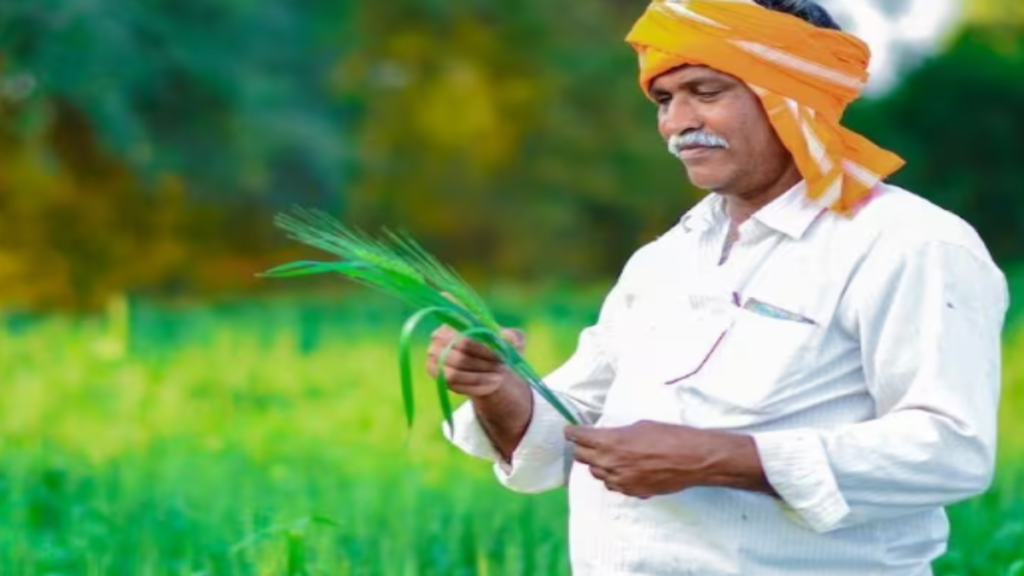 पीएम फसल बीमा योजना: इन छोटी गलतियों से रिजेक्ट हो सकता है क्लेम, जानिए पीएम फसल बीमा योजना: इन छोटी गलतियों से रिजेक्ट हो सकता है क्लेम, जानिए - Samachar Mirchi