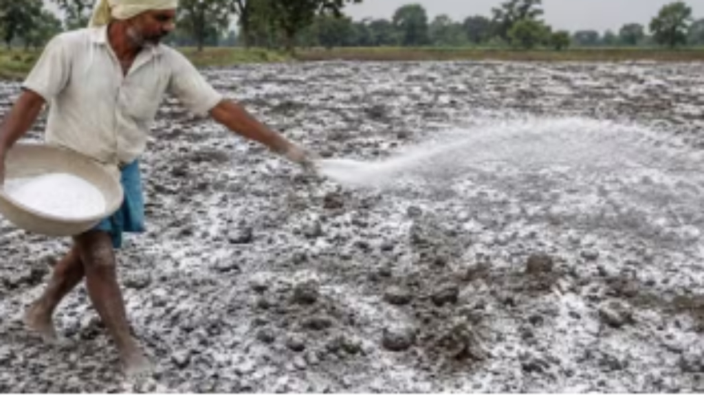 खेत में चूने का उपयोग बढ़ा देगा खरीफ फसल का उत्पादन, जानें सही तरीका - Samachar Mirchi