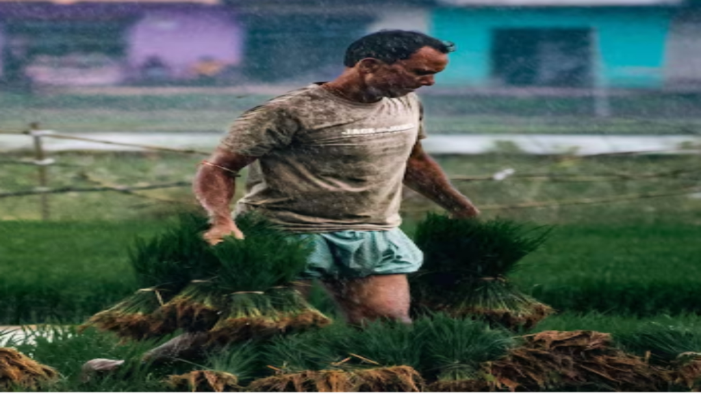 कमजोर मानसून 2026: कम बारिश में भी फसल बचाने के आसान उपाय, सही खेती की रणनीति से घटेगा नुकसान - Samachar Mirchi
