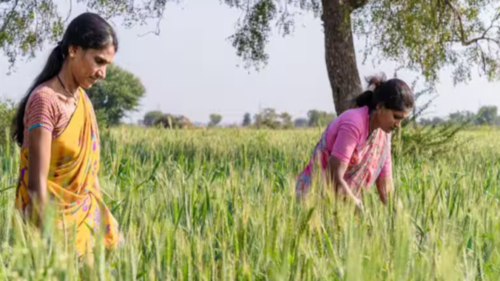 पीएम किसान 23वीं किस्त: ई-केवाईसी, आधार लिंकिंग और लैंड सीडिंग न पूरा करने पर अटक सकती है राशि पीएम किसान 23वीं किस्त: ई-केवाईसी, आधार लिंकिंग और लैंड सीडिंग न पूरा करने पर अटक सकती है राशि - Samachar Mirchi