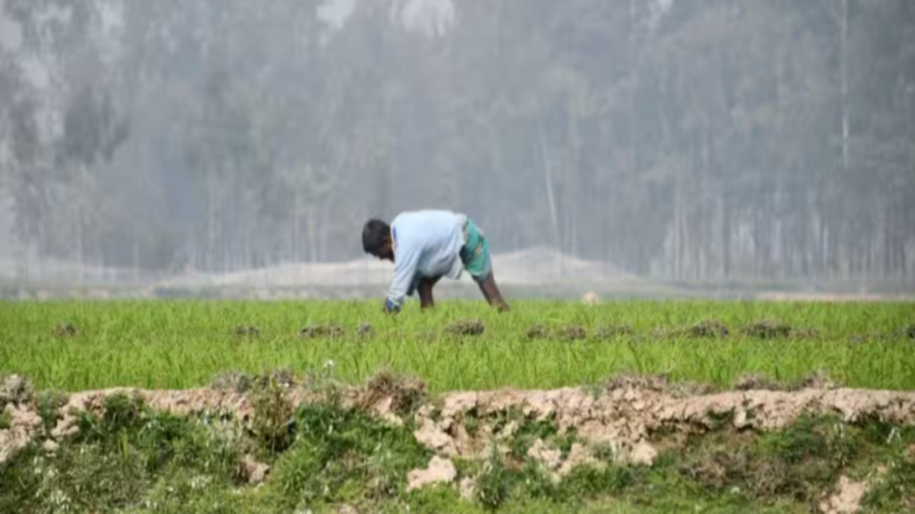 देश के एक चौथाई हिस्से में सूखे का संकट, कमजोर मानसून बढ़ा रहा किसानों की चिंता देश के एक चौथाई हिस्से में सूखे का संकट, कमजोर मानसून बढ़ा रहा किसानों की चिंता - Samachar Mirchi