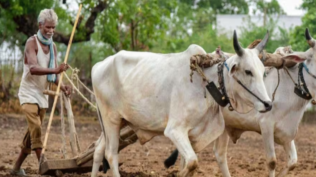 किसानों के लिए बड़ी चेतावनी: बिना फार्मर आईडी के बंद हो जाएगा सरकारी योजनाओं का लाभ - Samachar Mirchi