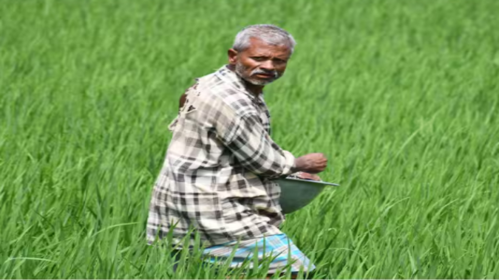 मानसून की कमी से घबराएं नहीं किसान, बुआई जारी रखें; सिंचाई का अतिरिक्त खर्च उठाएगी सरकार मानसून की कमी से घबराएं नहीं किसान, बुआई जारी रखें; सिंचाई का अतिरिक्त खर्च उठाएगी सरकार - Samachar Mirchi