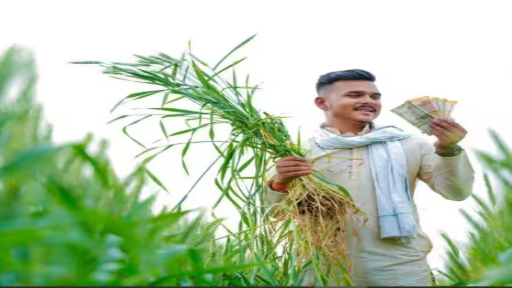 पीएम किसान सम्मान निधि की 24वीं किस्त का इंतजार, 2000 रुपये पाने के लिए आज ही पूरा करें ये काम पीएम किसान सम्मान निधि की 24वीं किस्त का इंतजार, 2000 रुपये पाने के लिए आज ही पूरा करें ये काम - Samachar Mirchi