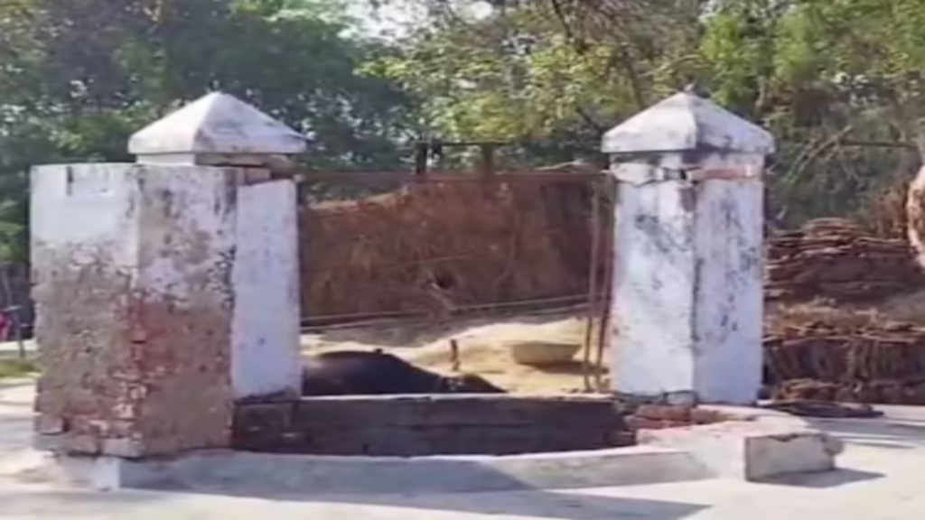 जब खेतों में नहीं थे ट्यूबवेल, ना बिजली, ना मोटर, फिर भी खेत रहते थे हरे-भरे जब खेतों में नहीं थे ट्यूबवेल, ना बिजली, ना मोटर, फिर भी खेत रहते थे हरे-भरे - Samachar Mirchi