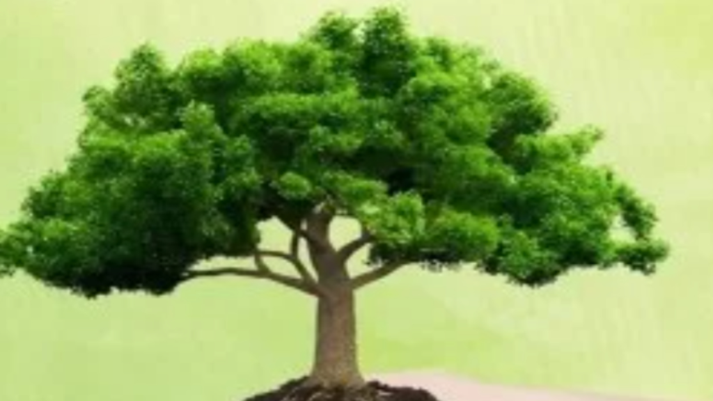 वन महोत्सव सप्ताह 2026: मानसून में क्यों शुरू होता है भारत का सबसे बड़ा ग्रीन फेस्टिवल? वन महोत्सव सप्ताह 2026: मानसून में क्यों शुरू होता है भारत का सबसे बड़ा ग्रीन फेस्टिवल? - Samachar Mirchi