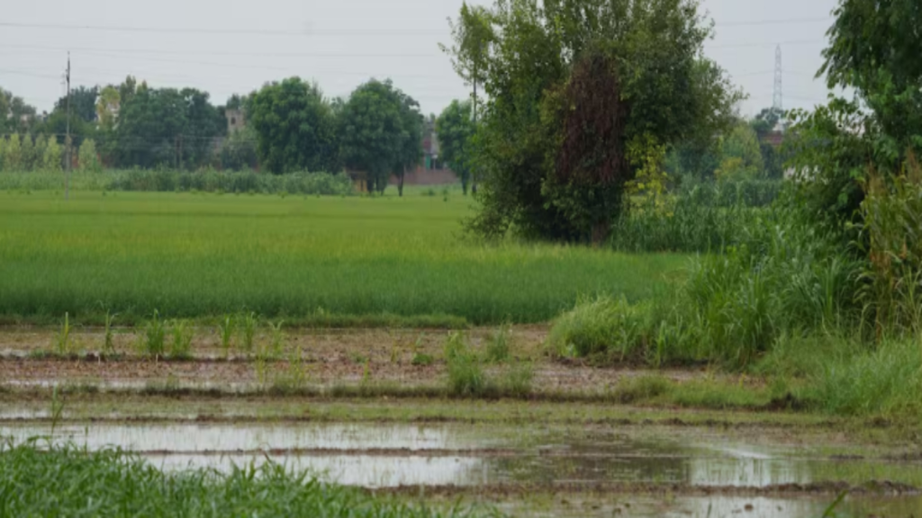 IMD का भारी बारिश अलर्ट: कई राज्यों में बारिश की चेतावनी, किसानों के लिए जारी हुई एडवाइजरी IMD का भारी बारिश अलर्ट: कई राज्यों में बारिश की चेतावनी, किसानों के लिए जारी हुई एडवाइजरी - Samachar Mirchi