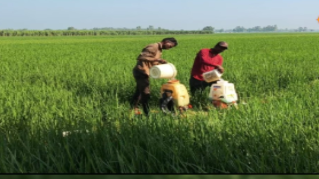 किसानों की बढ़ेगी कमाई, बागवानी और ड्रैगन फ्रूट खेती पर मिलेगा बड़ा अनुदान ऐसे उठाएं फायदा - Samachar Mirchi