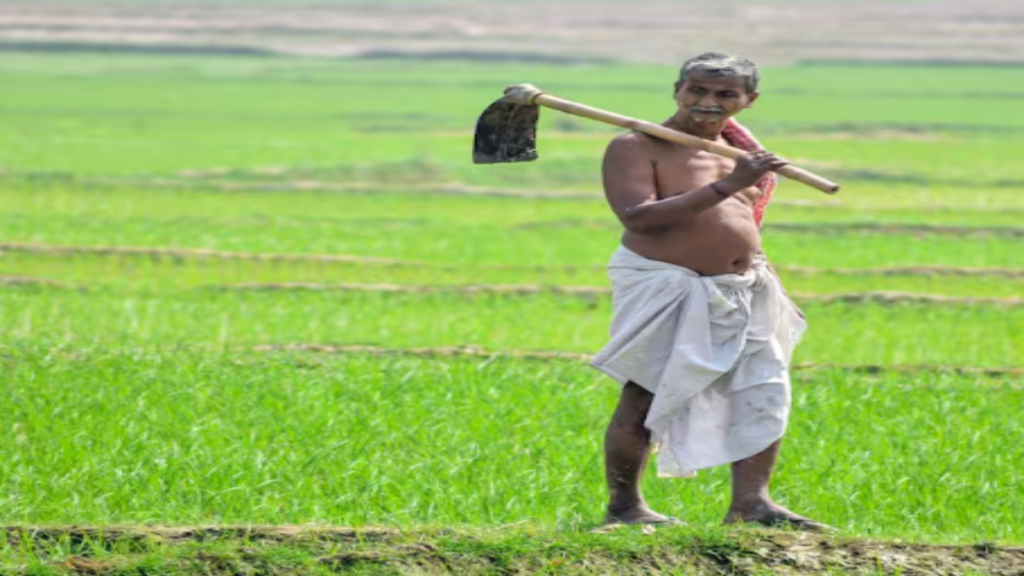 अगस्त-सितंबर में खेत खाली न छोड़ें किसान, करें इन सब्जियों की खेती बढ़ सकती  हैं आमदनी - Samachar Mirchi