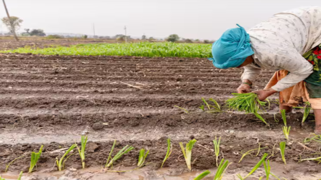 किसान के पास है Farmer ID, जानें इससे कौन-कौन सी सुविधा मिलेगी? जुड़ेंगे जमीन किसान के पास है Farmer ID, जानें इससे कौन-कौन सी सुविधा मिलेगी? जुड़ेंगे जमीन - Samachar Mirchi