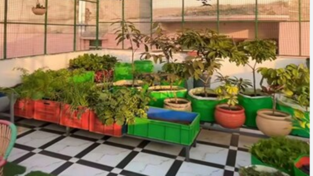 मानसून में इन पौधों से सजाएं किचन गार्डन, रंग-बिरंगे पत्तों से बदल जाएगा घर का लुक मानसून में इन पौधों से सजाएं किचन गार्डन, रंग-बिरंगे पत्तों से बदल जाएगा घर का लुक - Samachar Mirchi