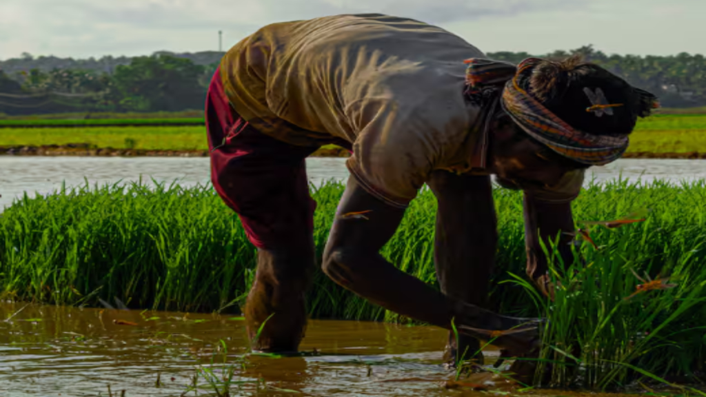 PM Kisan ही नहीं, इन सरकारी योजनाओं से भी किसानों के खाते में आता है पैसा मिलती है मदद PM Kisan ही नहीं, इन सरकारी योजनाओं से भी किसानों के खाते में आता है पैसा मिलती है मदद - Samachar Mirchi