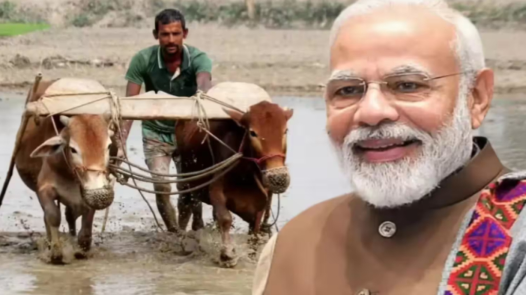 मंडी में भाव गिरे तो किसानों को मिलेगा सहारा, PM-AASHA योजना से MSP की सुरक्षा मंडी में भाव गिरे तो किसानों को मिलेगा सहारा, PM-AASHA योजना से MSP की सुरक्षा - Samachar Mirchi